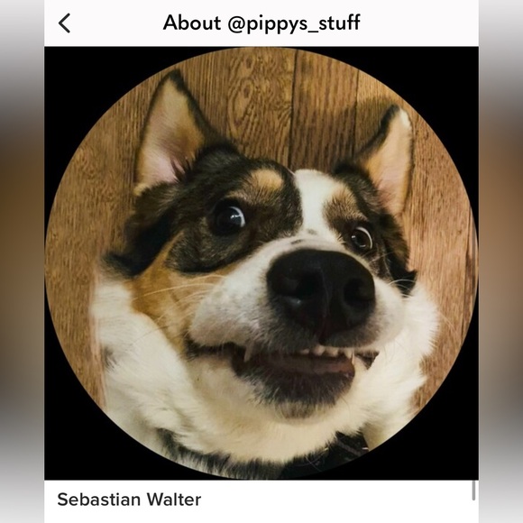 Meet your Posher, Gen - Picture 3 of 7